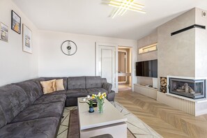 Televisión, chimenea y videojuegos 