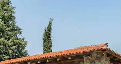 Luxury Country Estate with Pool, Olive Groves & Event Spaces