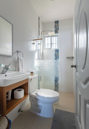 Shower, hair dryer, towels, soap - UNFORGETTABLE STAY/ COCKTAILS/ JACUZZI/ WI-FI/ AC. (Samana)