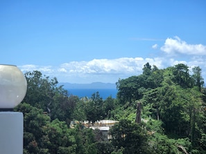 Vista desde la propiedad