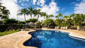 Ein Pool mit gewölbter Kante, umgeben von Palmen und Liegestühlen.