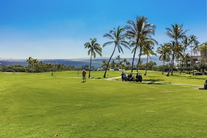 Golf