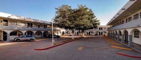A hotel courtyard with a central tree, multiple parking spaces, and a building with arched windows and balconies.