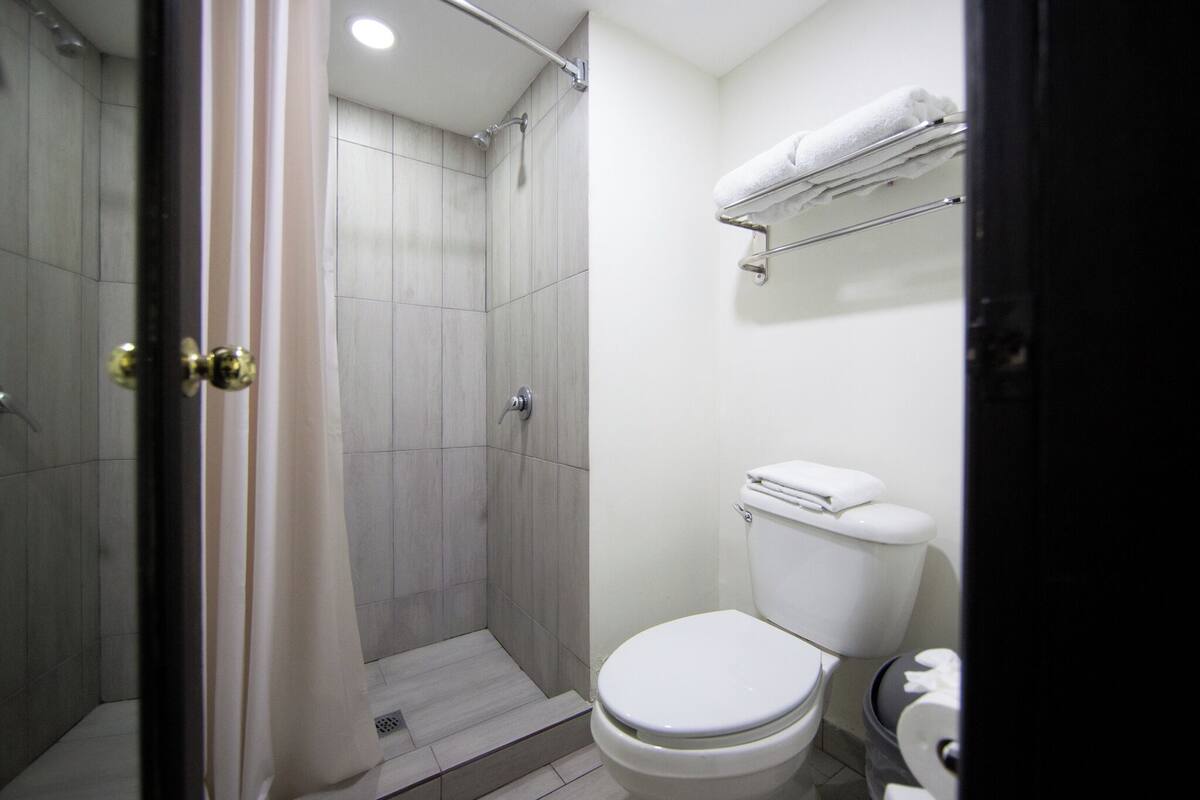 A bathroom with a shower, toilet, and towel rack.