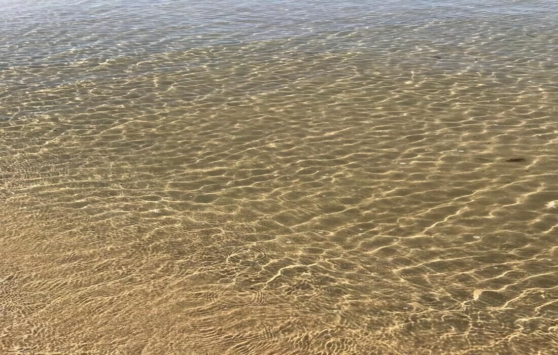 A clear view of a sandy beach with shallow water.