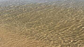 A clear view of a sandy beach with shallow water.