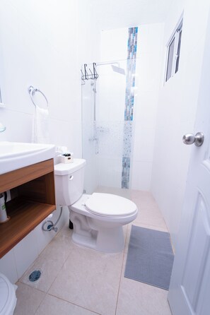 Shower, hair dryer, towels, soap