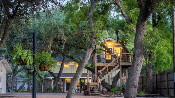 A treehouse with a wooden staircase and a balcony, surrounded by lush greenery.