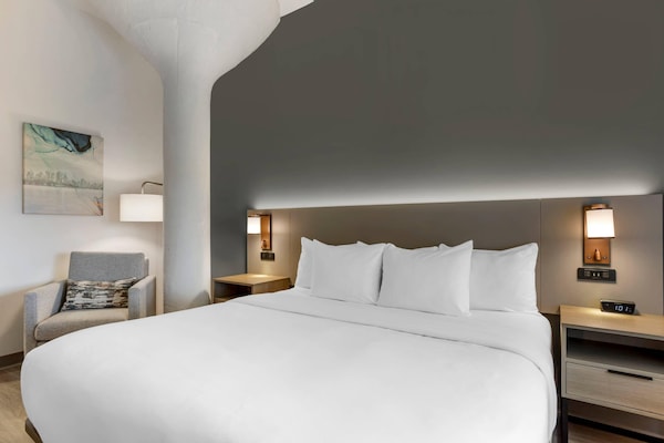 Premium bedding, desk, laptop workspace, blackout drapes
