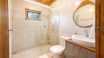 A modern bathroom with a glass-enclosed shower, a toilet, a sink with a wooden vanity, and a large mirror.