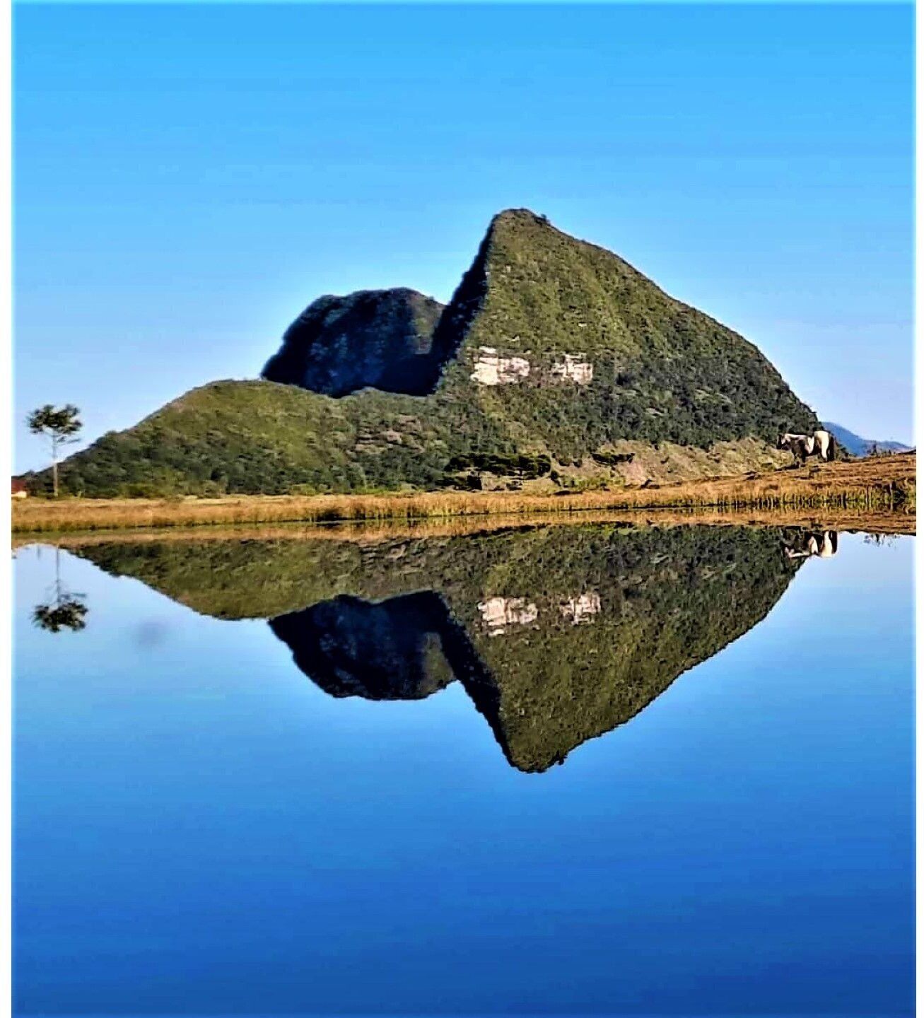 蜜月木屋, 按摩浴缸, 山景