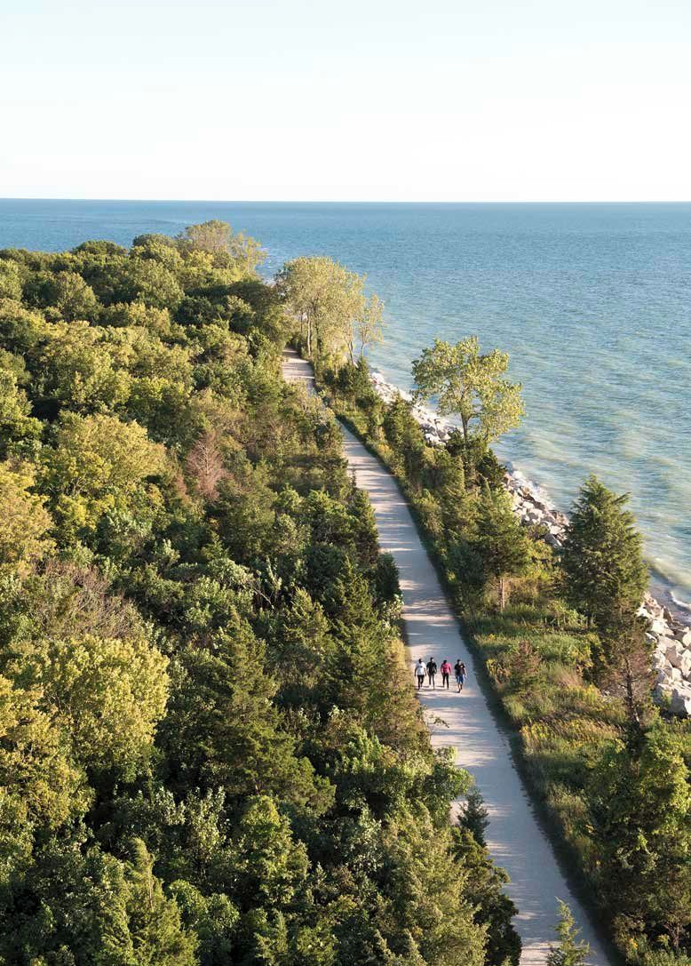 A coastal path with dense greenery and a clear view of the sea.