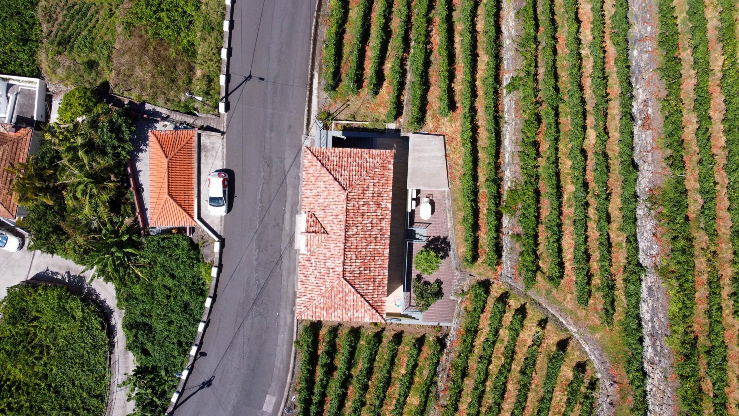 An aerial view of a property with a red-tiled roof, a paved road, and rows of green crops.