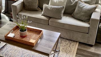 Smart TV, fireplace, DVD player, books