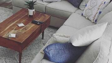 Smart TV, fireplace, DVD player, books