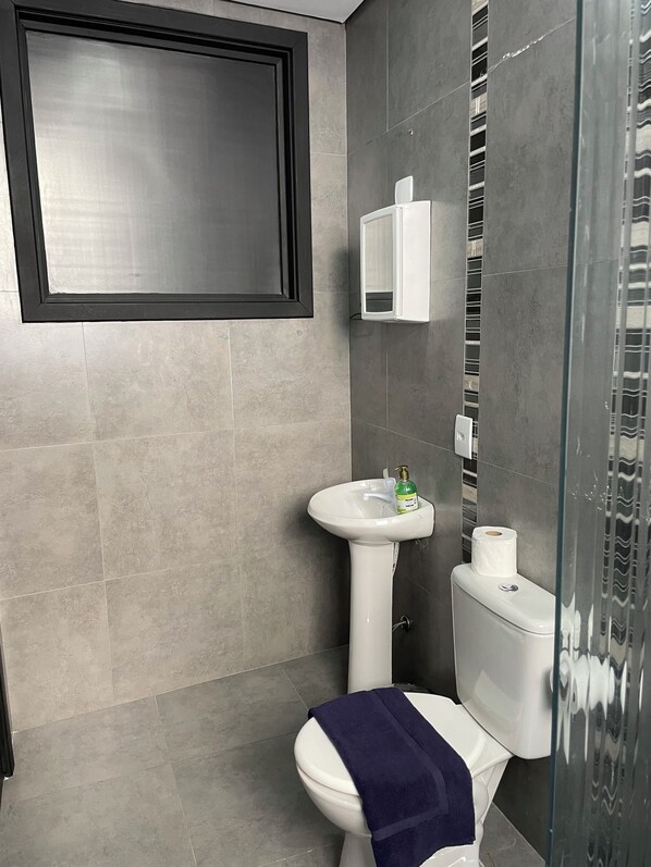 Dusche, Handtücher, Seife, Toilettenpapier