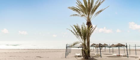 Nära stranden