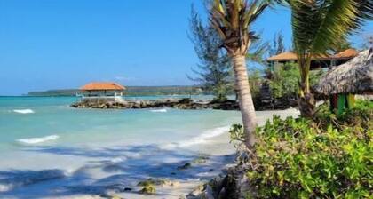 Island Oasis Stonebrook Vista