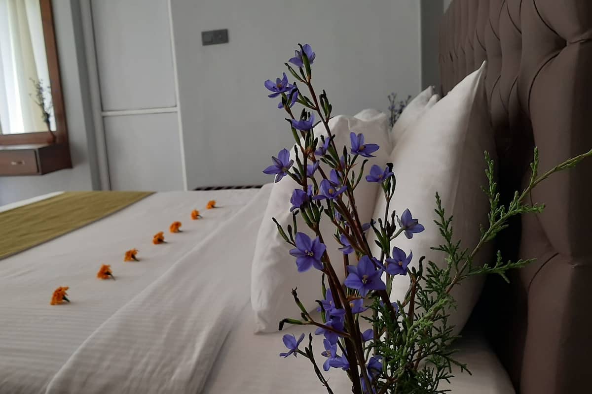 Deluxe Double Room, 1 King Bed, Non Smoking, Mountain View