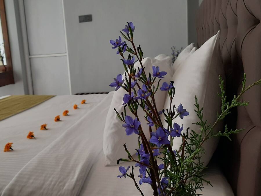 Deluxe Double Room, 1 King Bed, Non Smoking, Mountain View