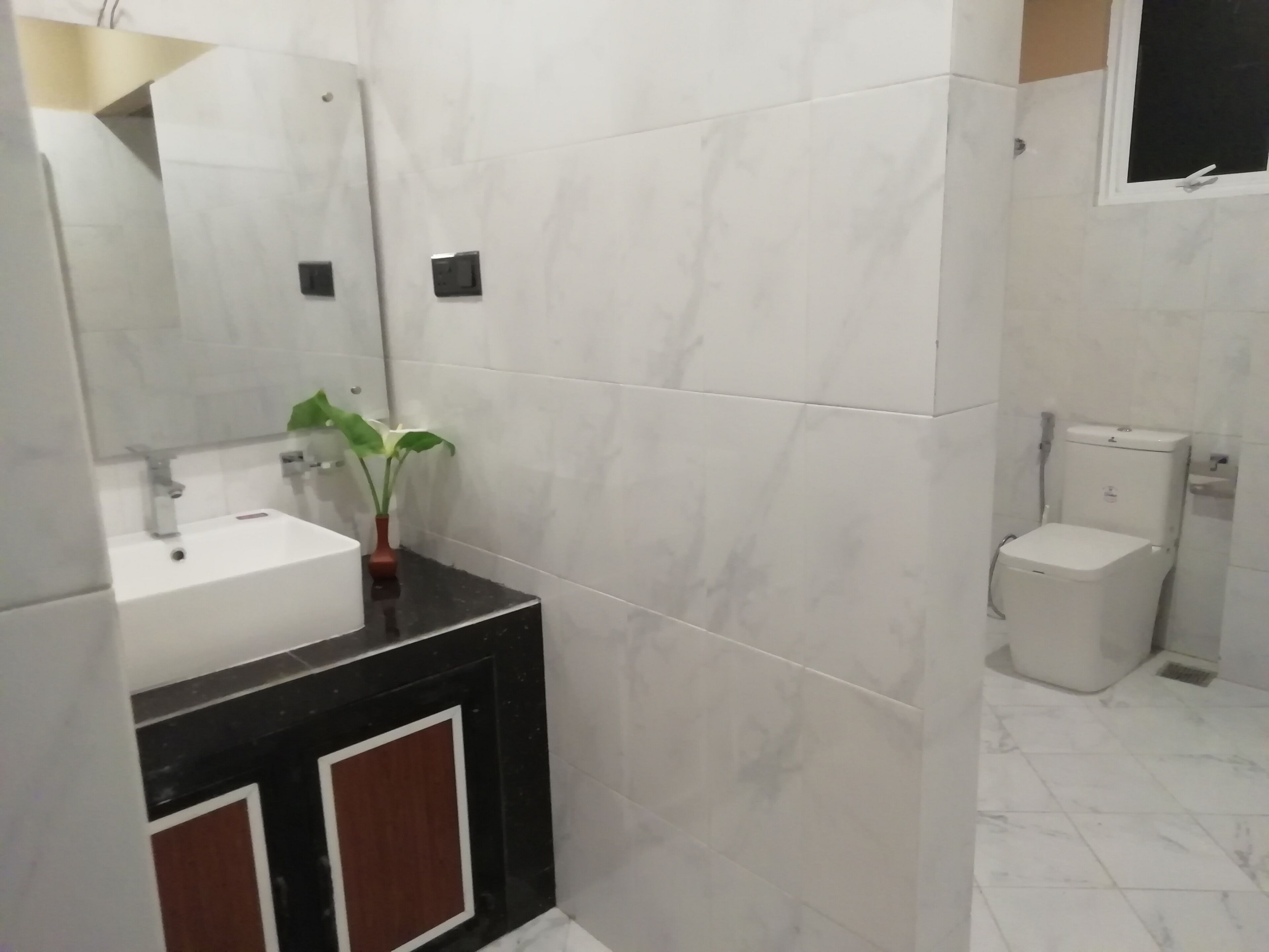 Une salle de bain moderne avec un lavabo blanc, un miroir, une petite plante en pot et des toilettes.
