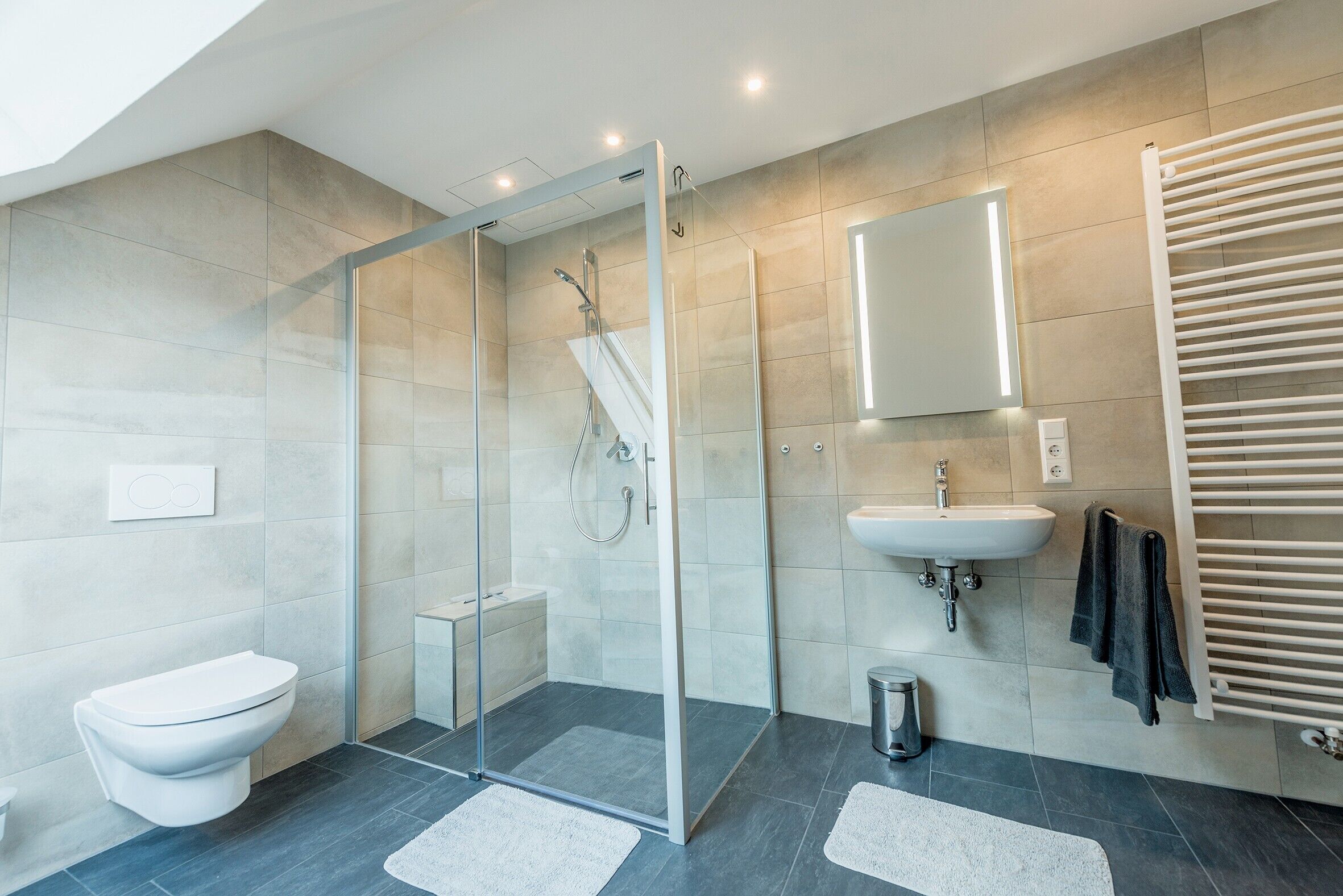 A modern bathroom with a glass shower enclosure, a toilet, a sink, and a towel rack.