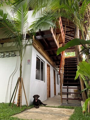 Interior entrance - Wayans Siargao (General Luna)