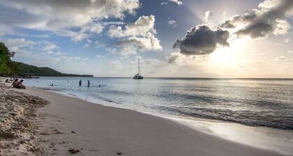 La Tourterelle Vert.