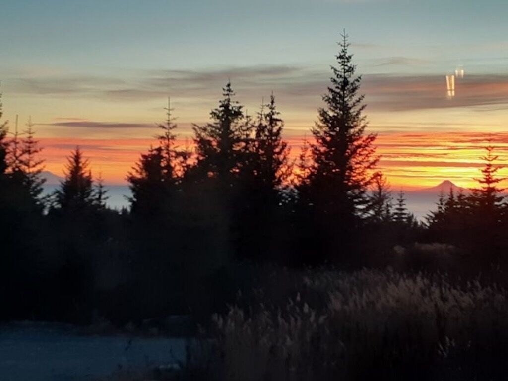 SANDHILL COTTAGE- Secluded Retreat-In-The-Woods, Ocean Views, minutes to Homer!