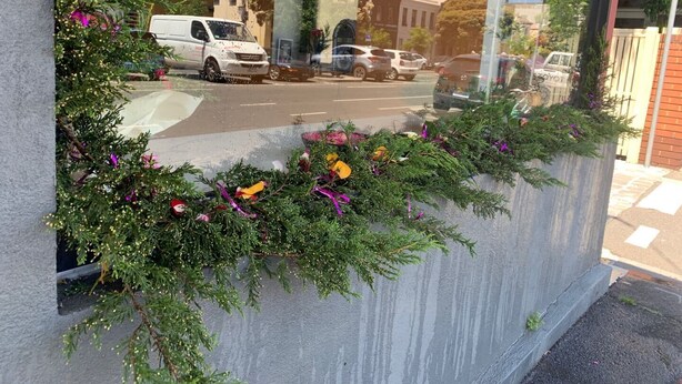Une fenêtre agrémentée d’un jardon en béton contenant des plantes vertes et des décorations colorées.