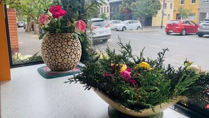 Une fenêtre ornée de deux compositions florales, une vue sur une rue où sont garées des voitures, et des bâtiments en arrière-plan.