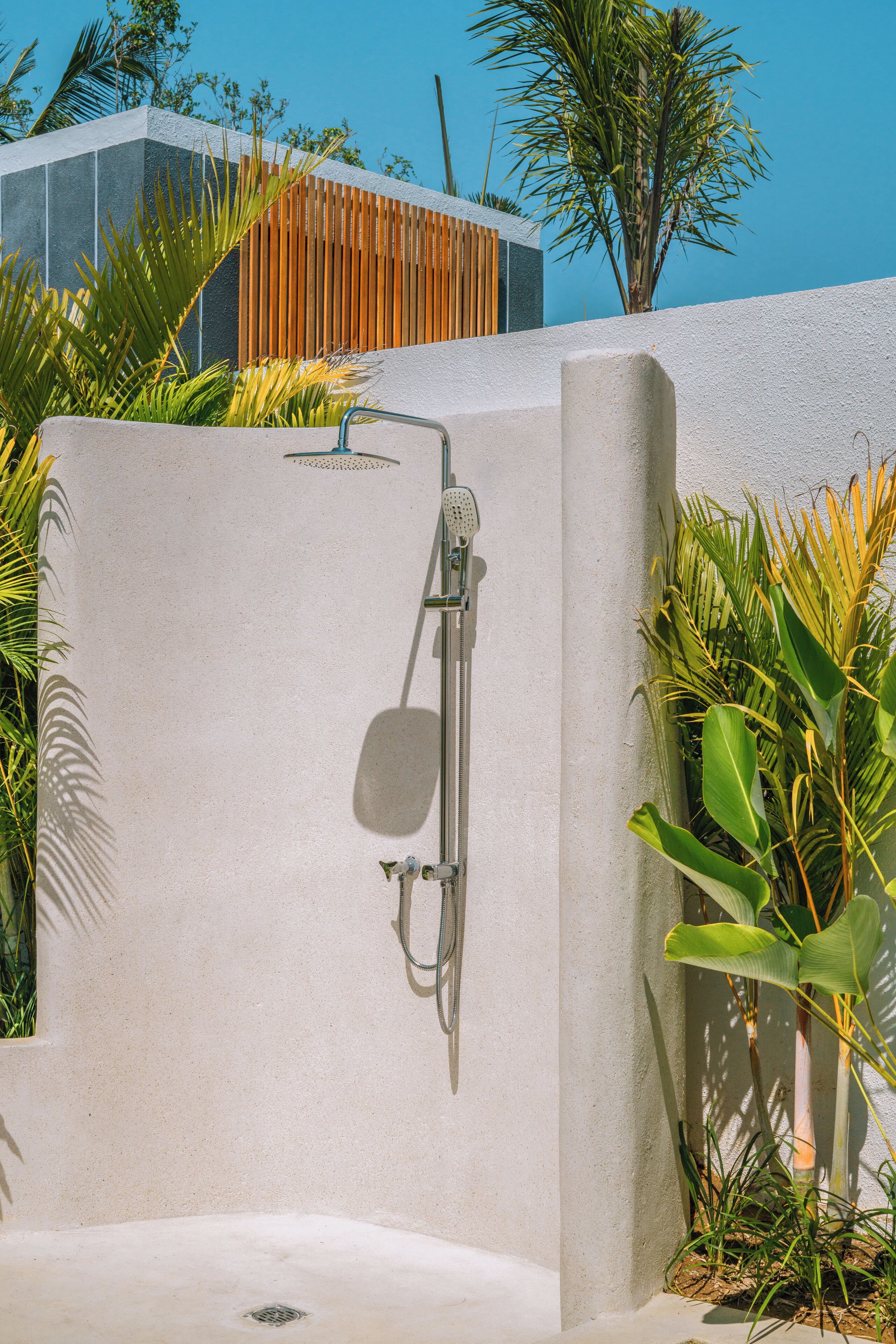 A modern shower enclosure with a rain showerhead, surrounded by lush tropical plants.