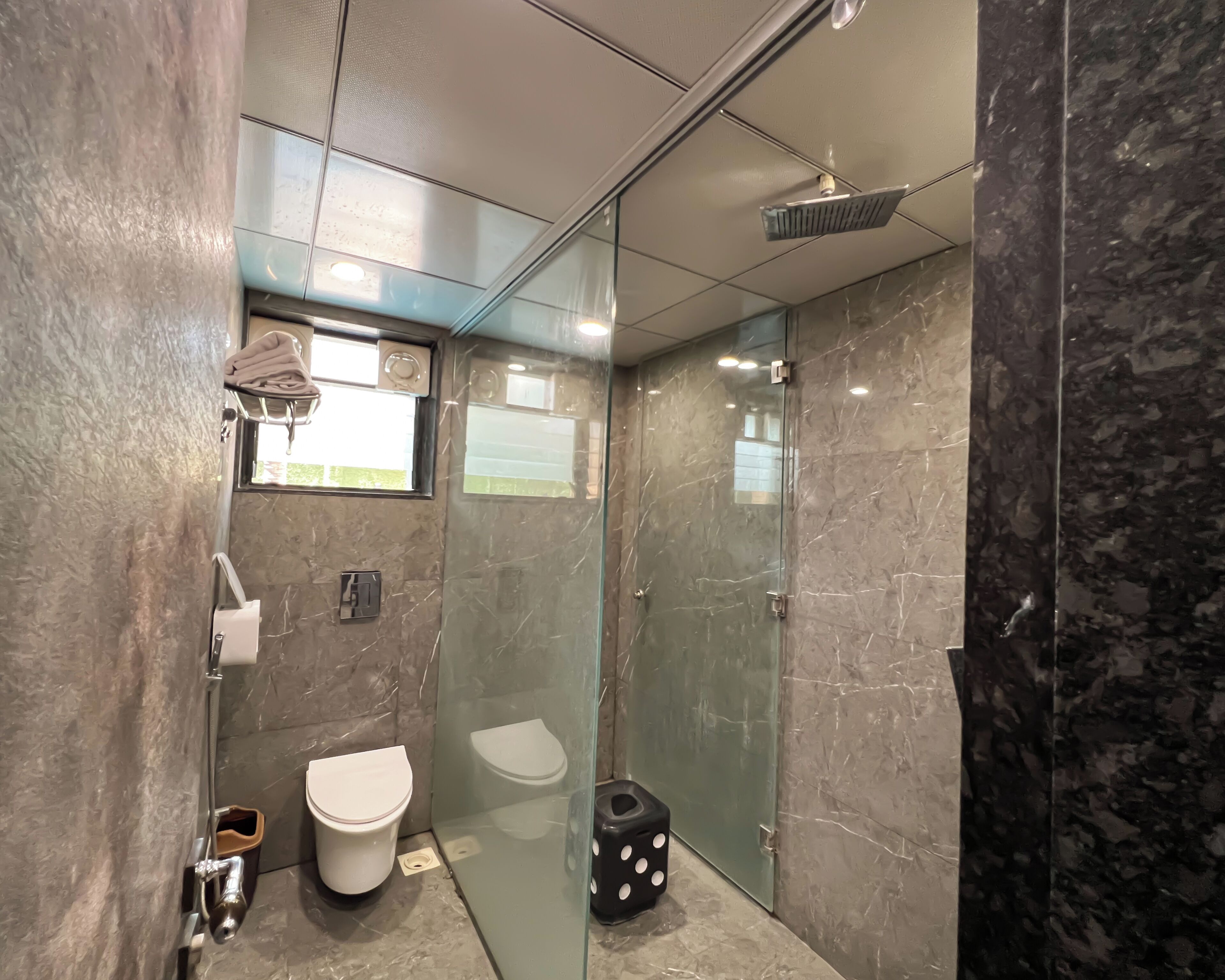 Une salle de bain moderne avec une douche à parois de verre, des toilettes et un porte-serviettes.