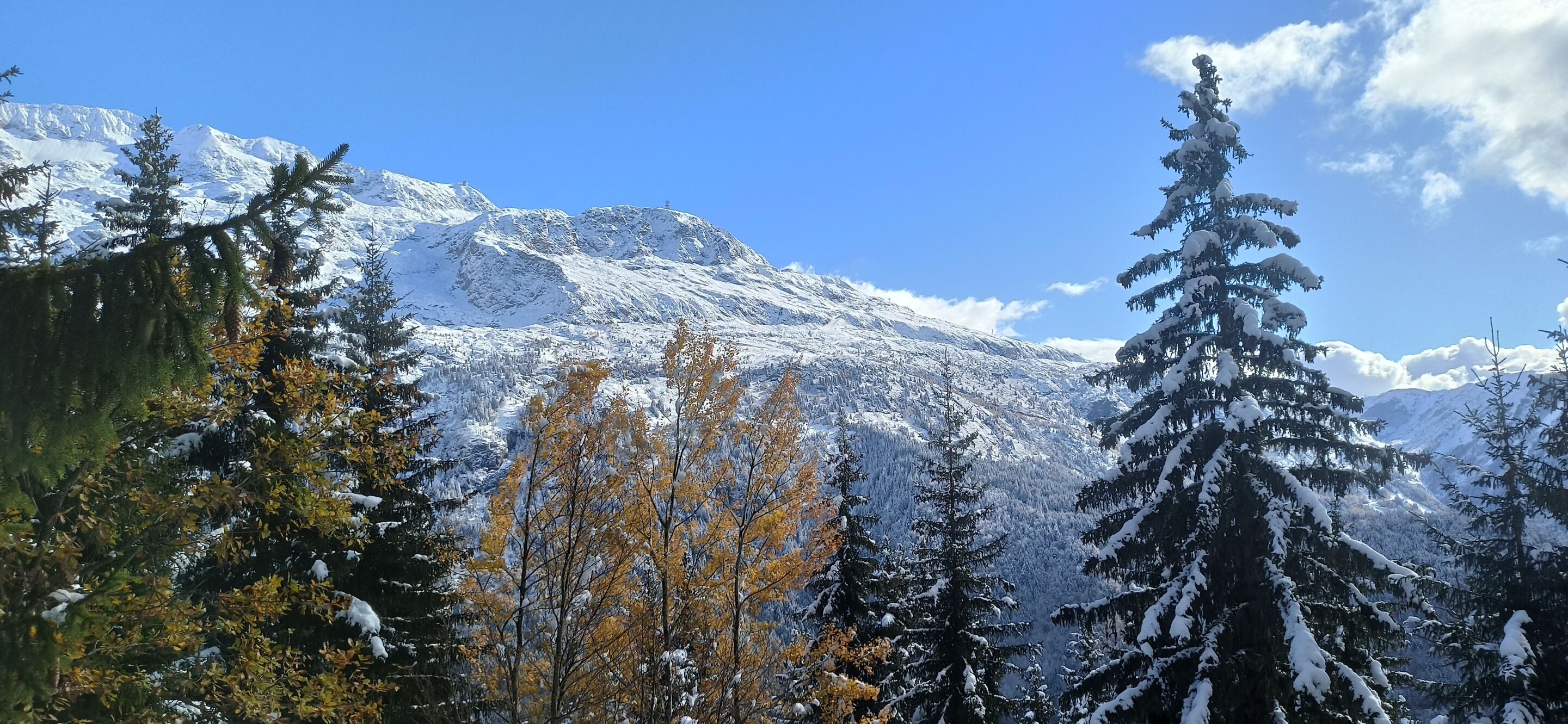 5 Schlafzimmer, Schreibtisch, Bügeleisen/Bügelbrett, Reisekinderbett