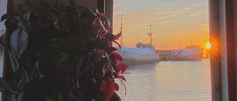 Udsigt fra overnatningsstedet