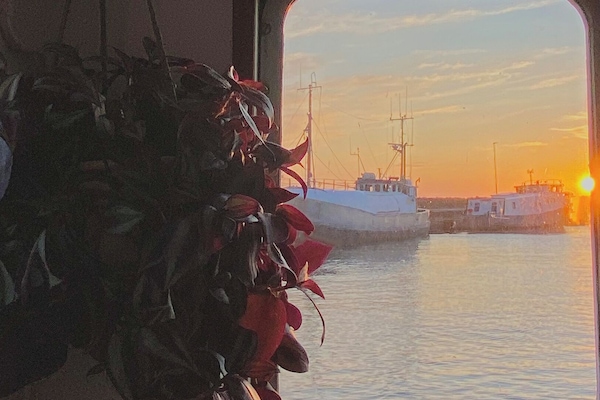 Blick von der Unterkunft