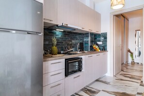 Fridge, oven, stovetop, coffee/tea maker