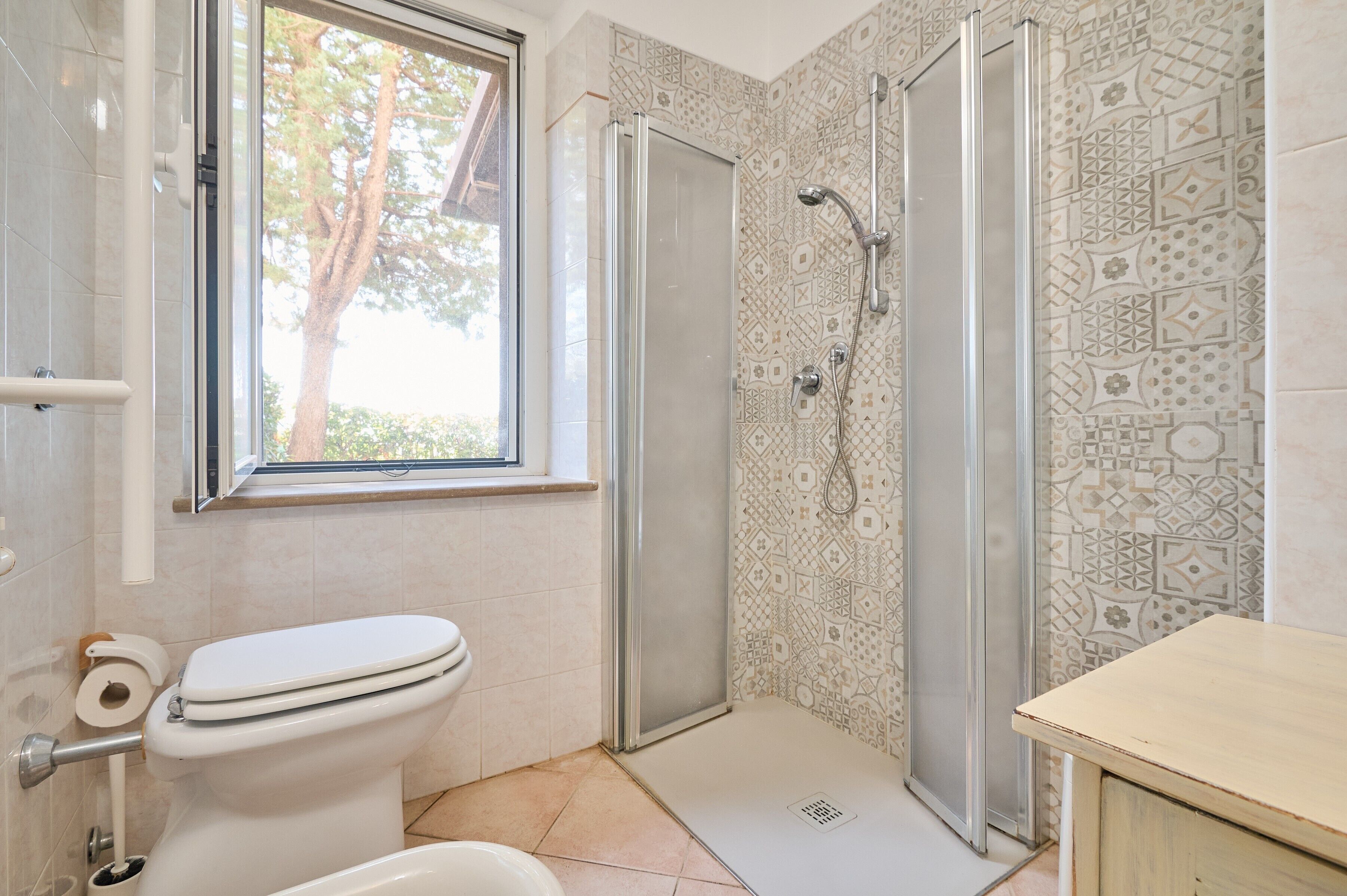Shower, hair dryer, towels