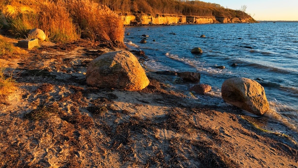 A rocky shoreline with large boulders and sparse vegetation. - Bungalow LAETITIA - In a peaceful central location in Timmendorf Strand. (Insel Poel / OT Timmendorf Strand)
