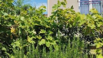 Details aan de buitenkant