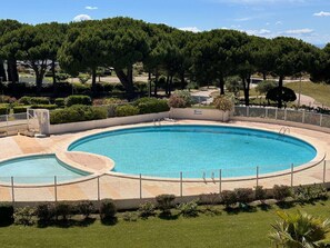 A circular swimming pool with a surrounding fence, surrounded by well-maintained grass and trees.