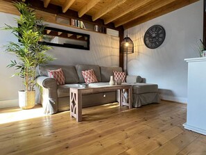 Smart TV, fireplace, books, music library