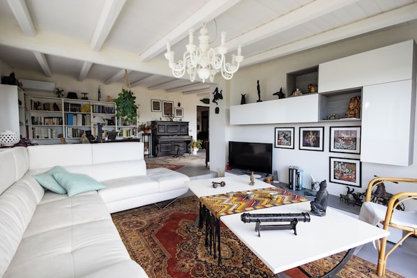 Smart TV, fireplace, DVD player, books