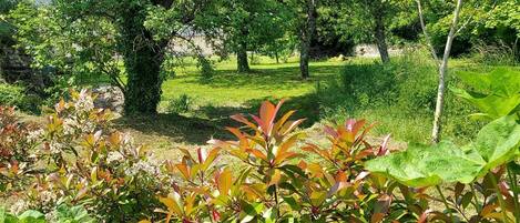 Áreas de la propiedad