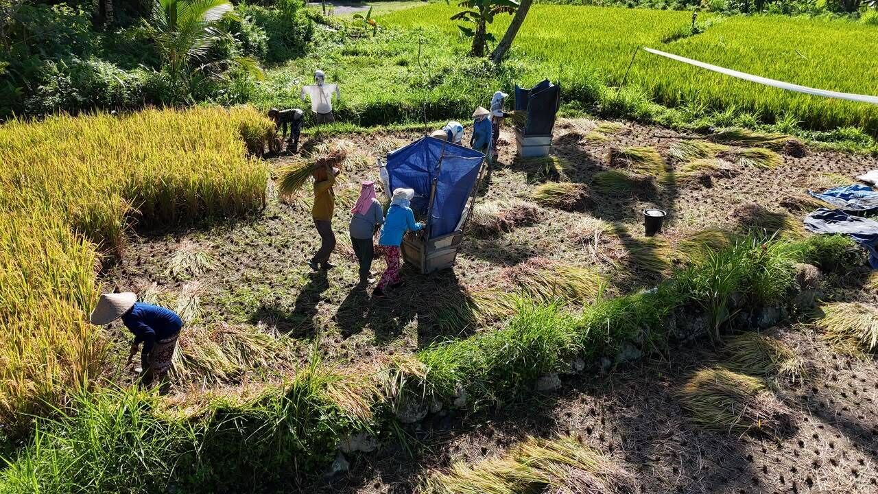 Cảnh từ trên cao