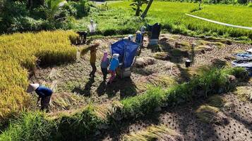Cảnh từ trên cao
