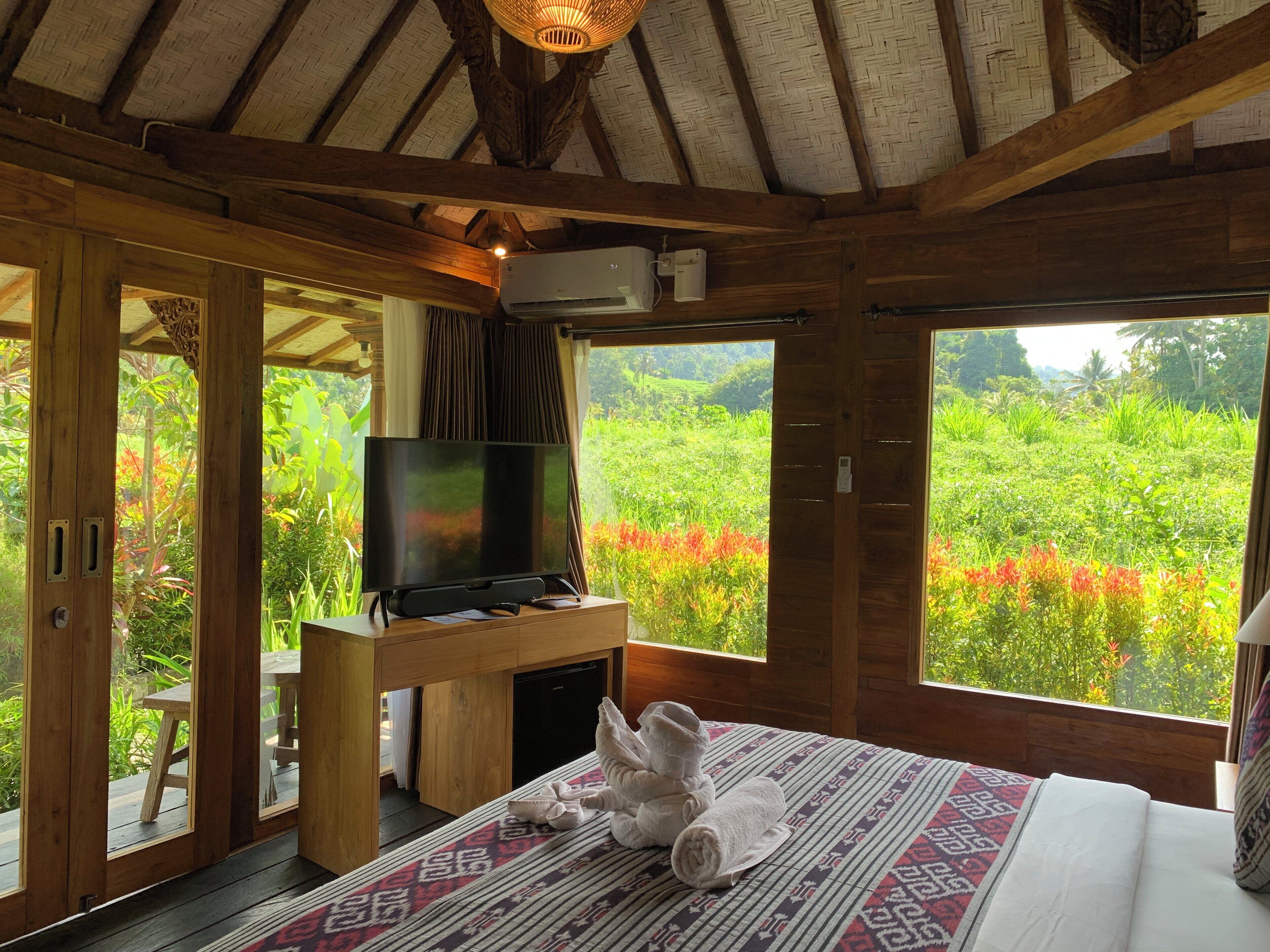 A wooden room with a bed, a television on a stand, and a view of a lush garden.