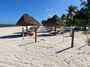 A beach with thatched umbrellas, sun loungers, and palm trees. - Beach Front Luxury 4 BDRM Heated Pool WiFi (Punta Sam)
