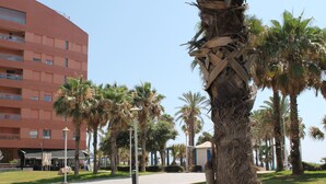 A building with a red facade, palm trees, and a paved walkway. - Paseo Maritimo (Málaga)