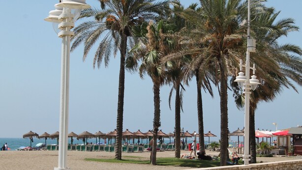 A beach with palm trees, beach umbrellas, and a stone wall. - Paseo Maritimo (Málaga)
